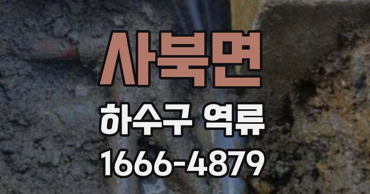 사북면 하수구 역류