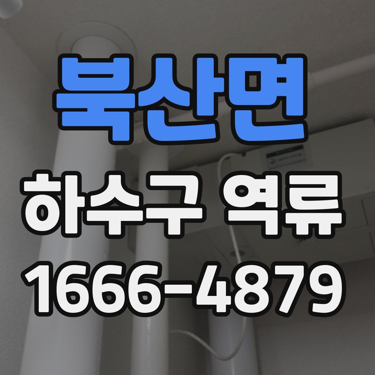 북산면 하수구 역류