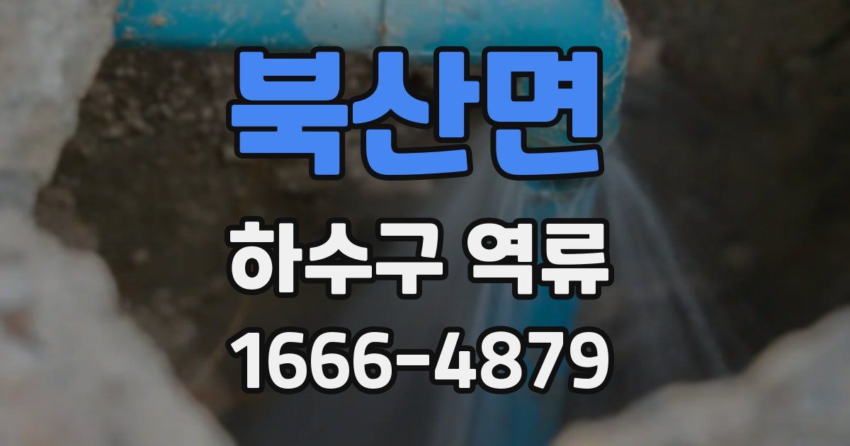 북산면 하수구 역류