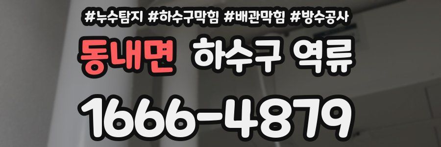 동내면 하수구 역류