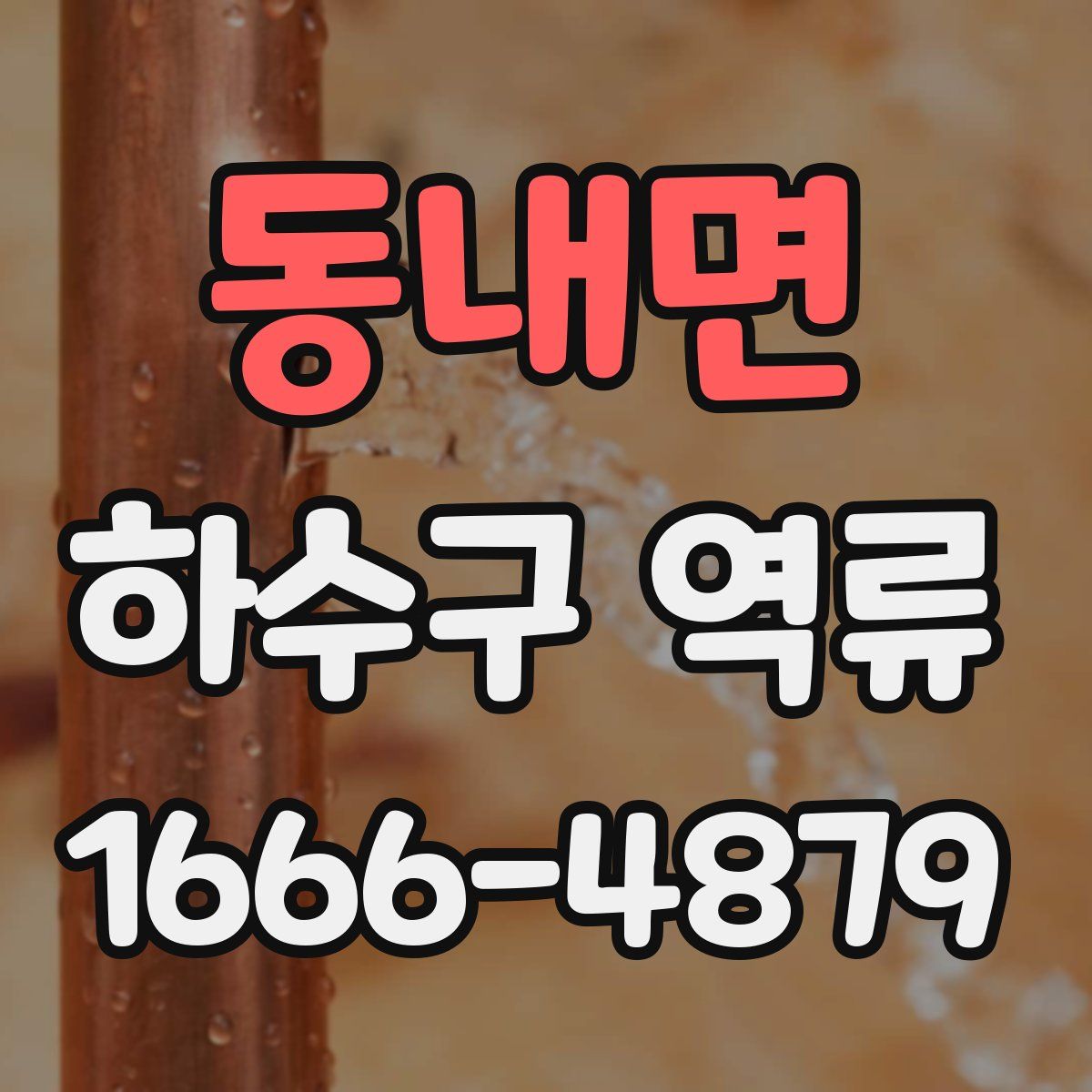 동내면 하수구 역류