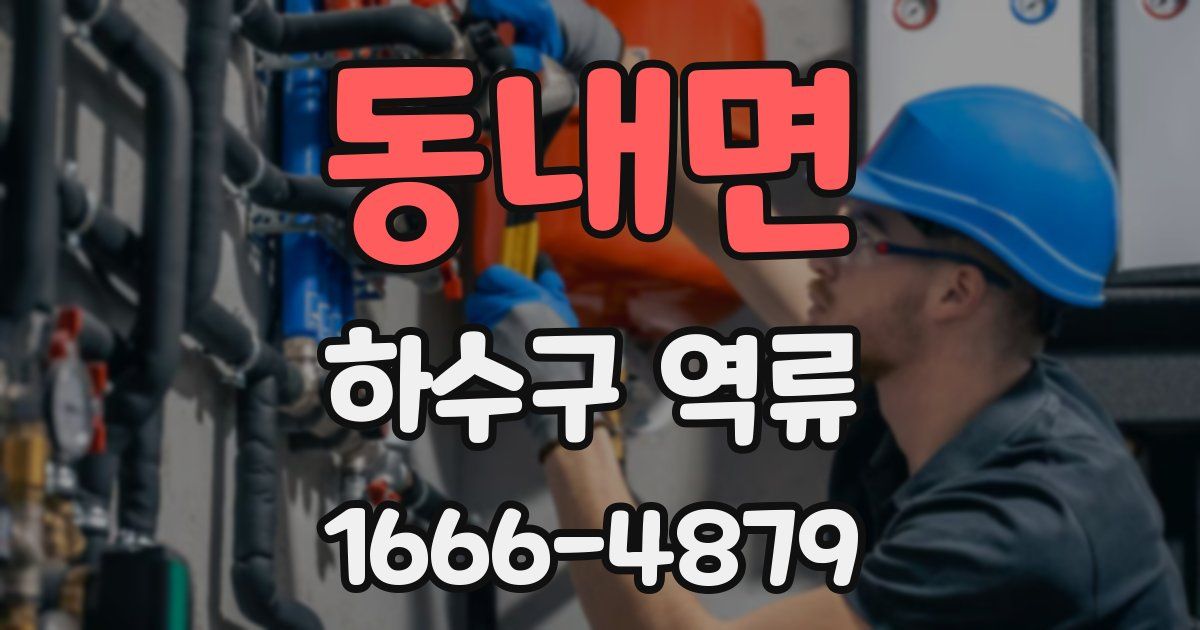 동내면 하수구 역류