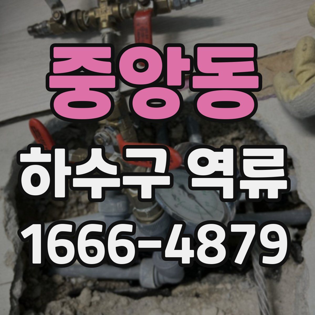 중앙동 하수구 역류
