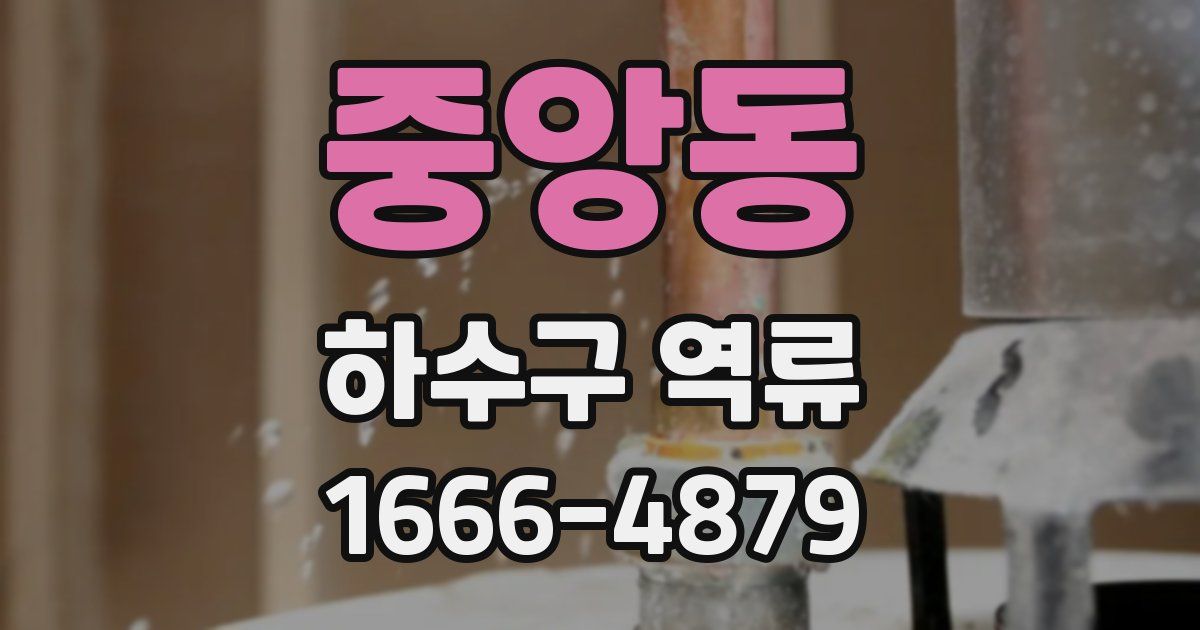 중앙동 하수구 역류