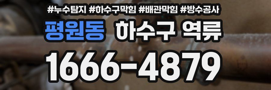 평원동 하수구 역류
