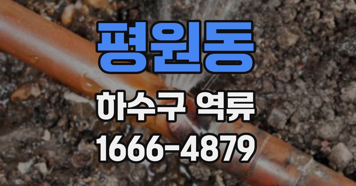 평원동 하수구 역류