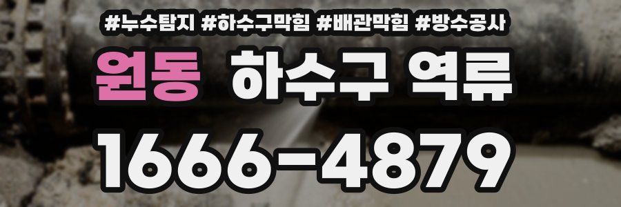 원동 하수구 역류