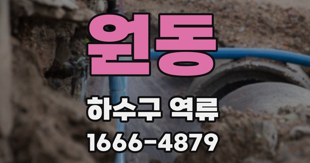 원동 하수구 역류