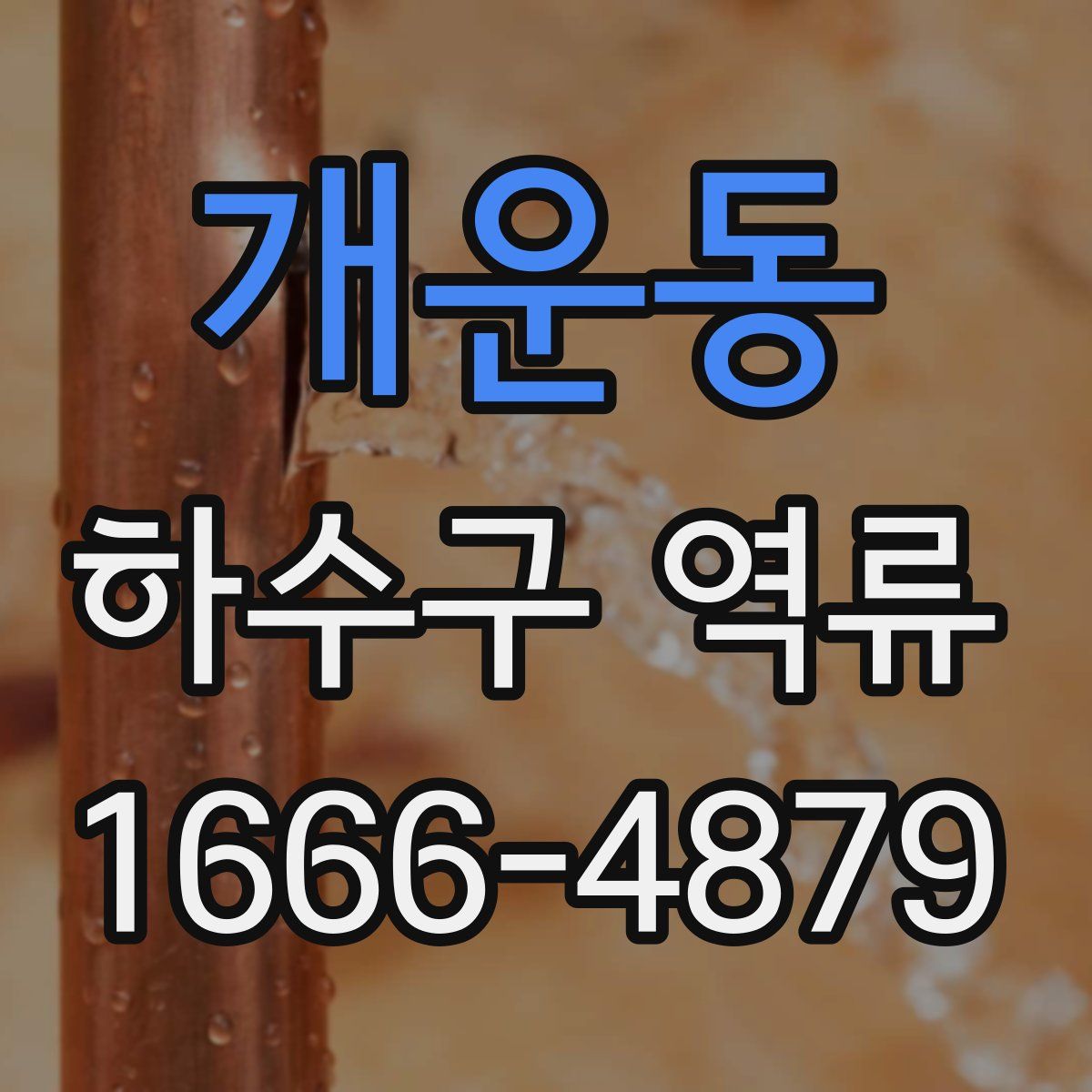 개운동 하수구 역류