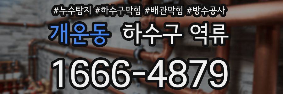 개운동 하수구 역류