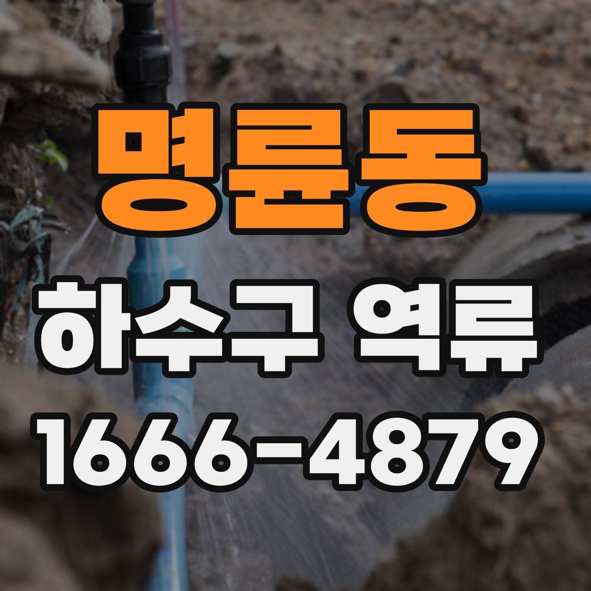 명륜동 하수구 역류