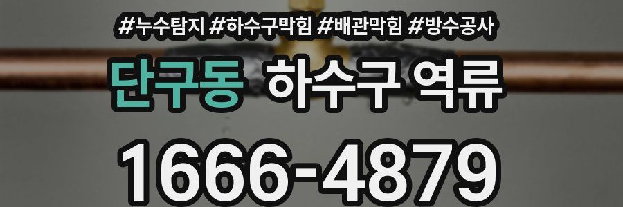 단구동 하수구 역류