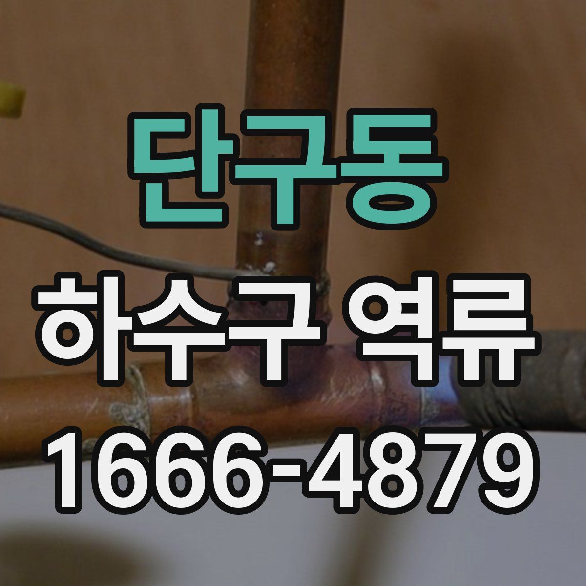 단구동 하수구 역류