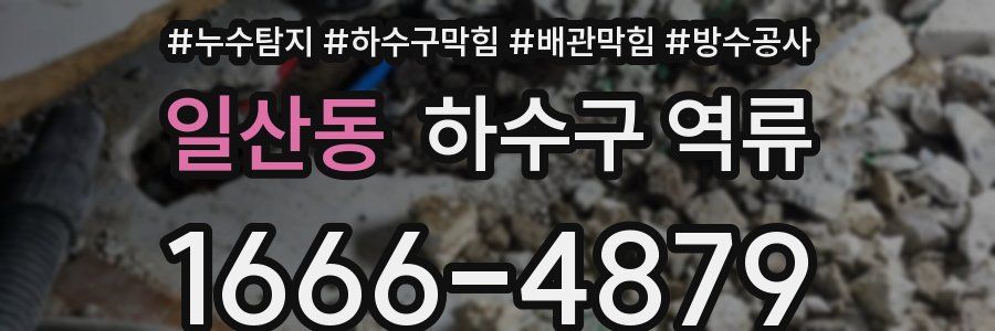 일산동 하수구 역류
