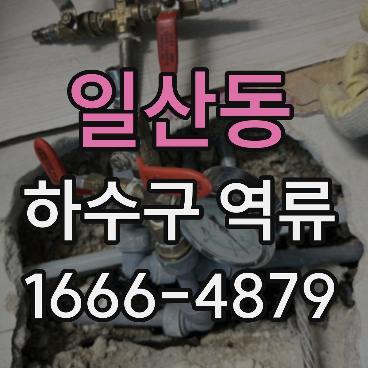 일산동 하수구 역류