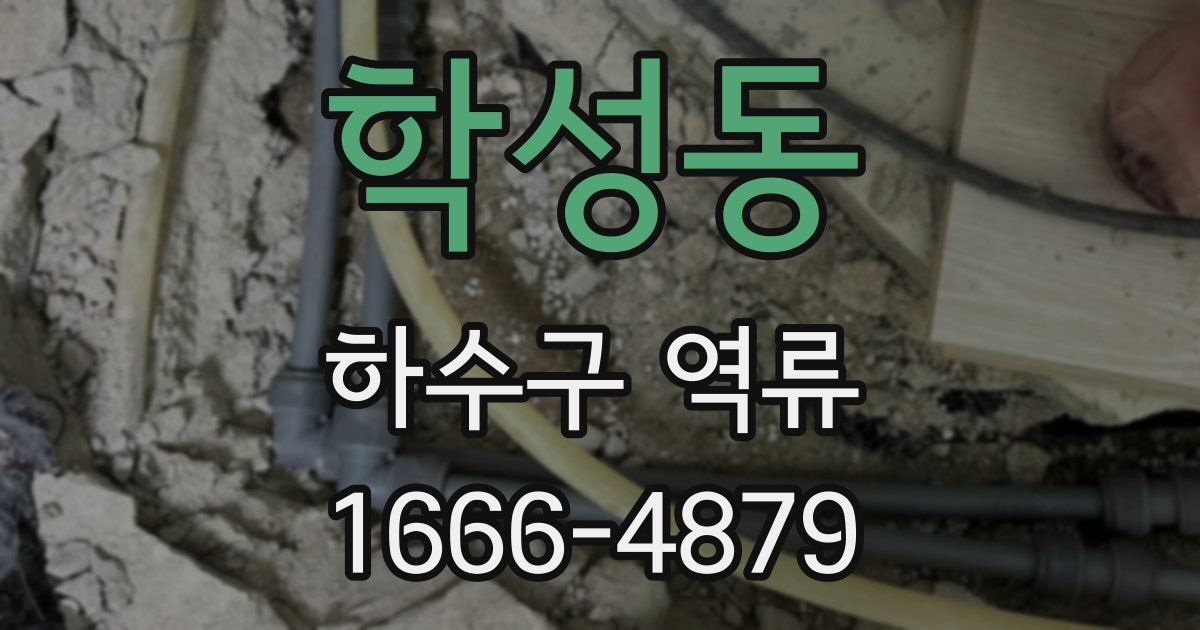 학성동 하수구 역류