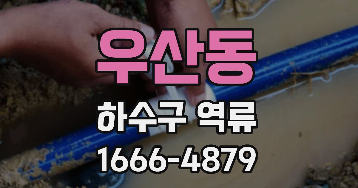 우산동 하수구 역류