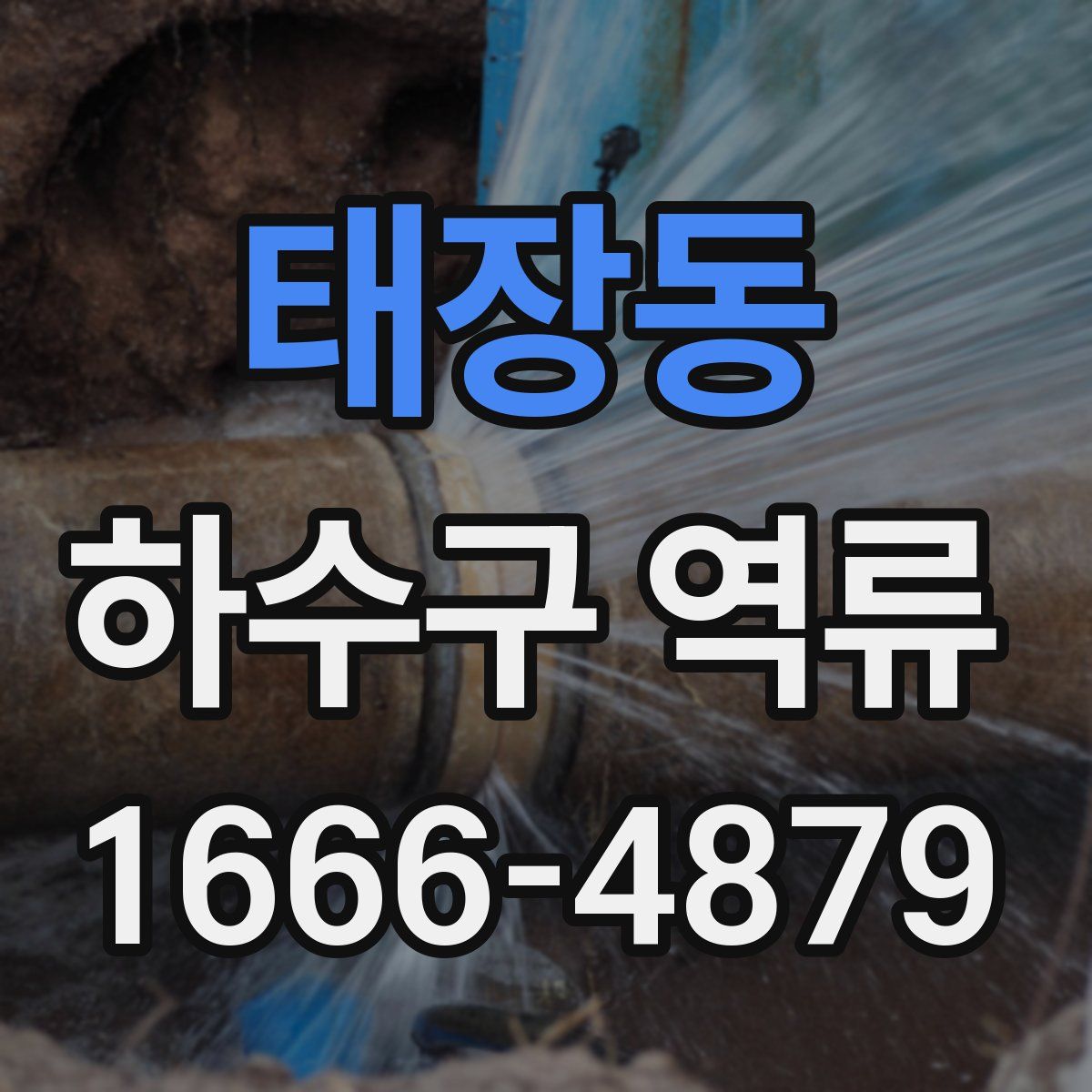 태장동 하수구 역류
