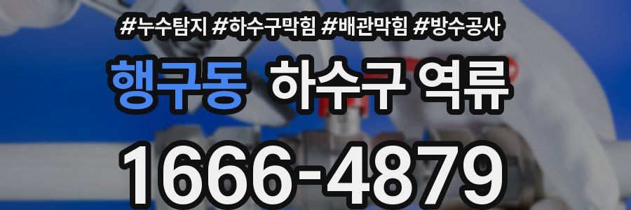 행구동 하수구 역류