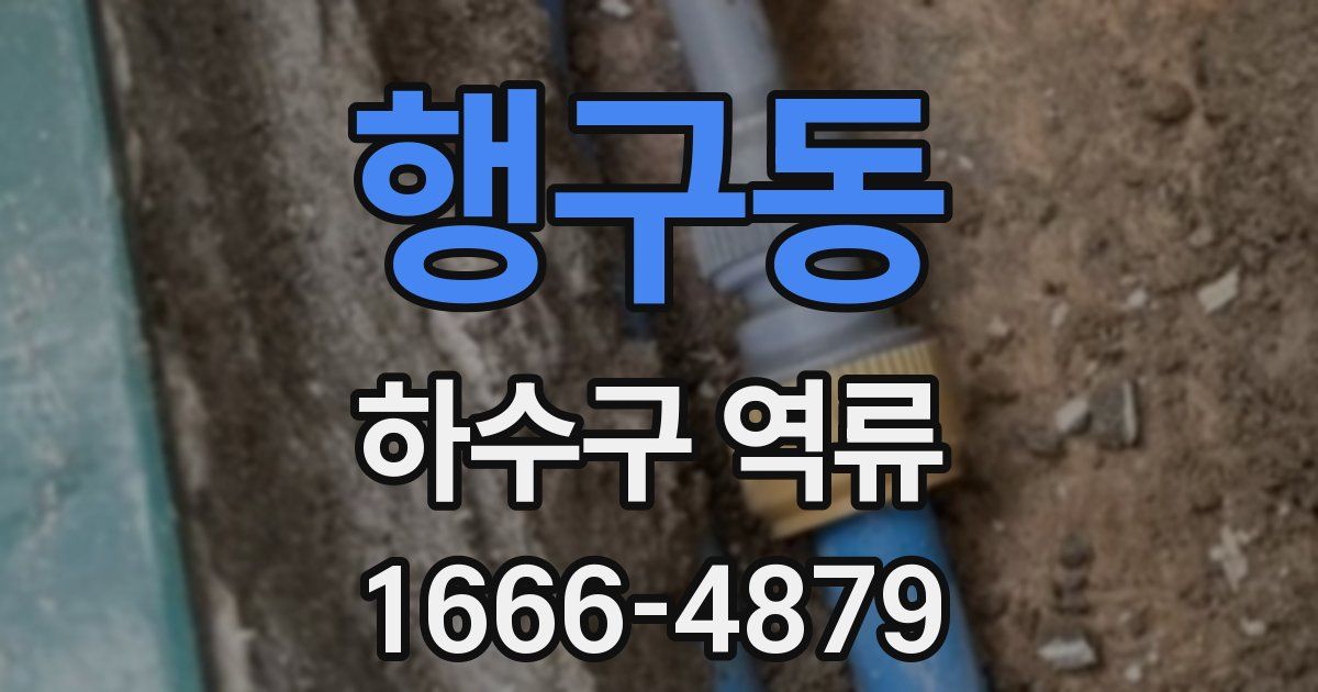 행구동 하수구 역류
