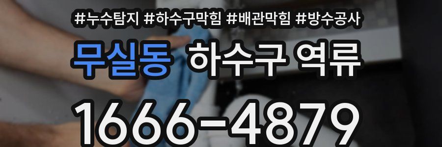 무실동 하수구 역류