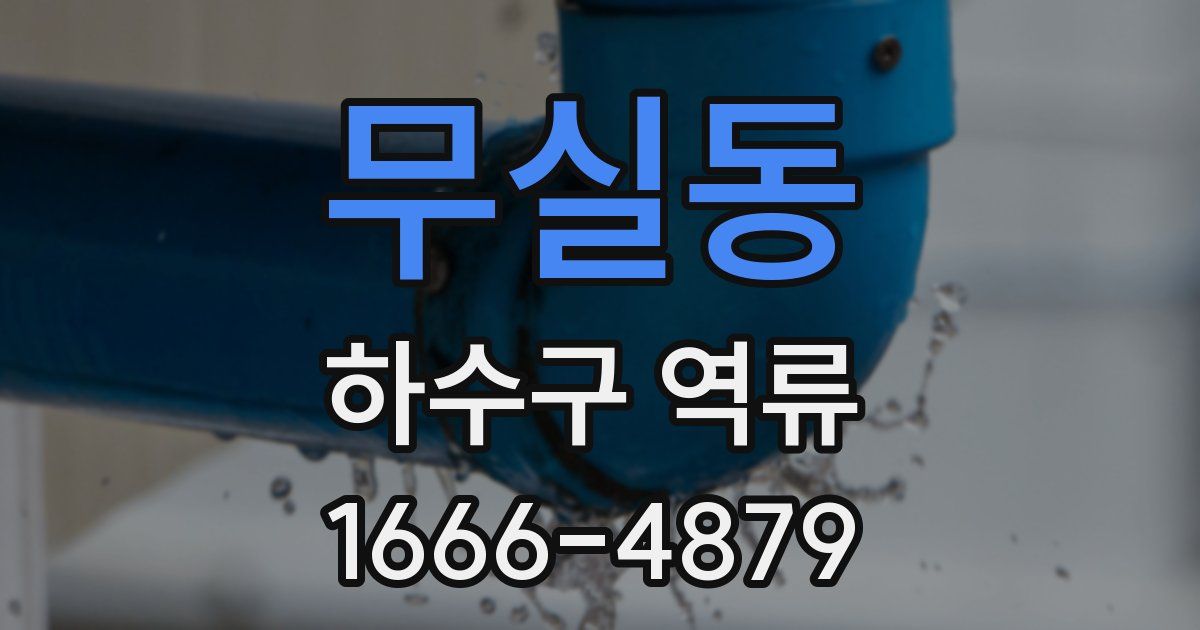 무실동 하수구 역류