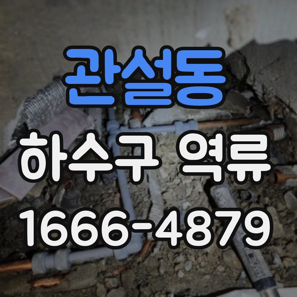 관설동 하수구 역류