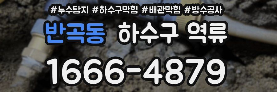 반곡동 하수구 역류