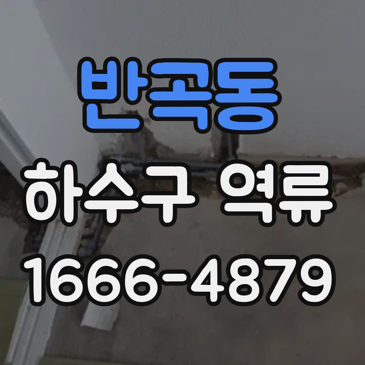 반곡동 하수구 역류