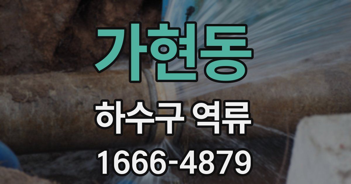가현동 하수구 역류