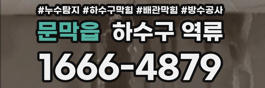 문막읍 하수구 역류