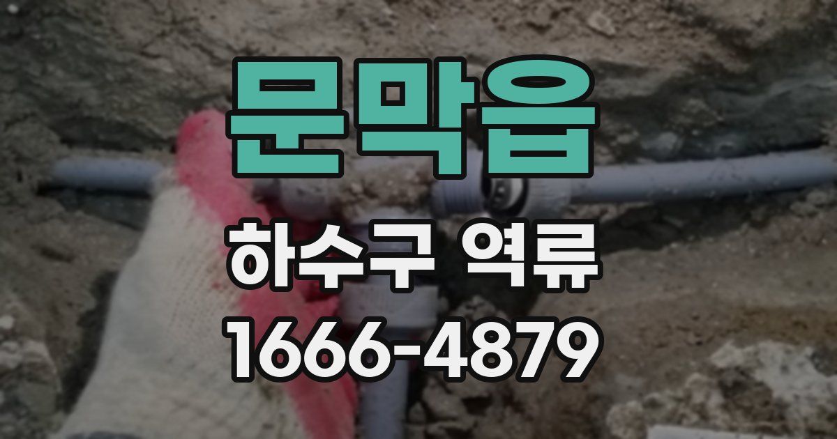 문막읍 하수구 역류