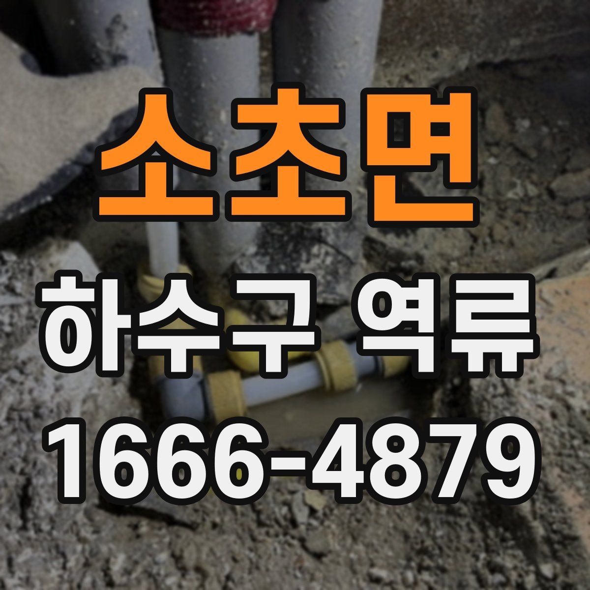 소초면 하수구 역류