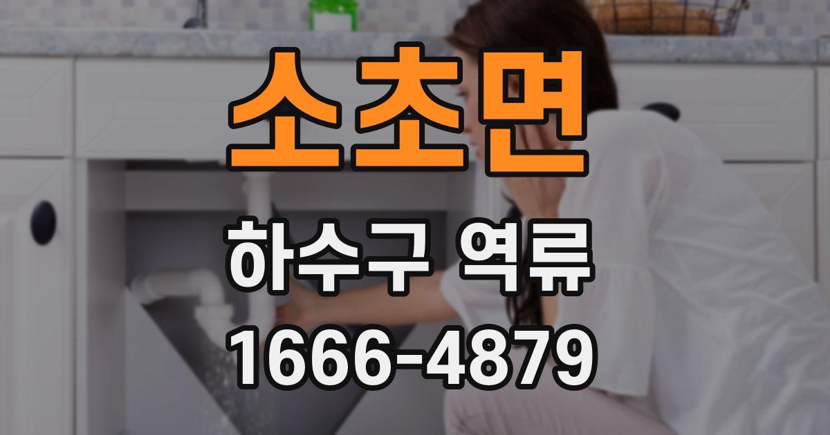 소초면 하수구 역류