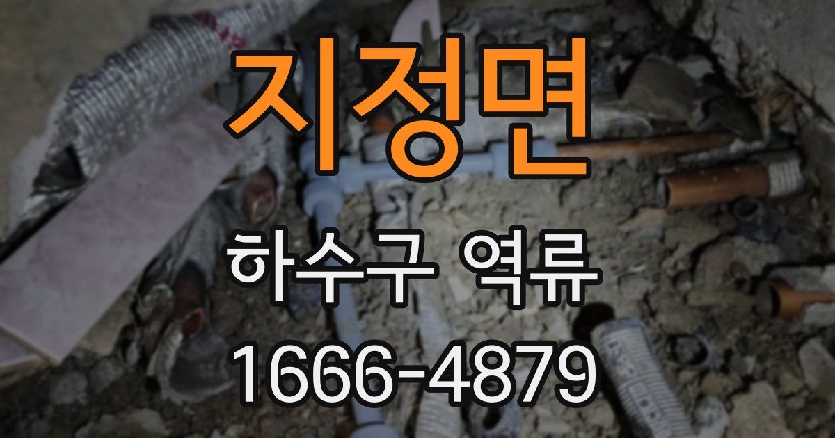 지정면 하수구 역류