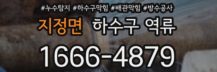 지정면 하수구 역류