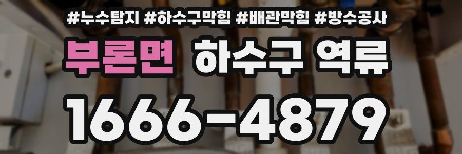 부론면 하수구 역류