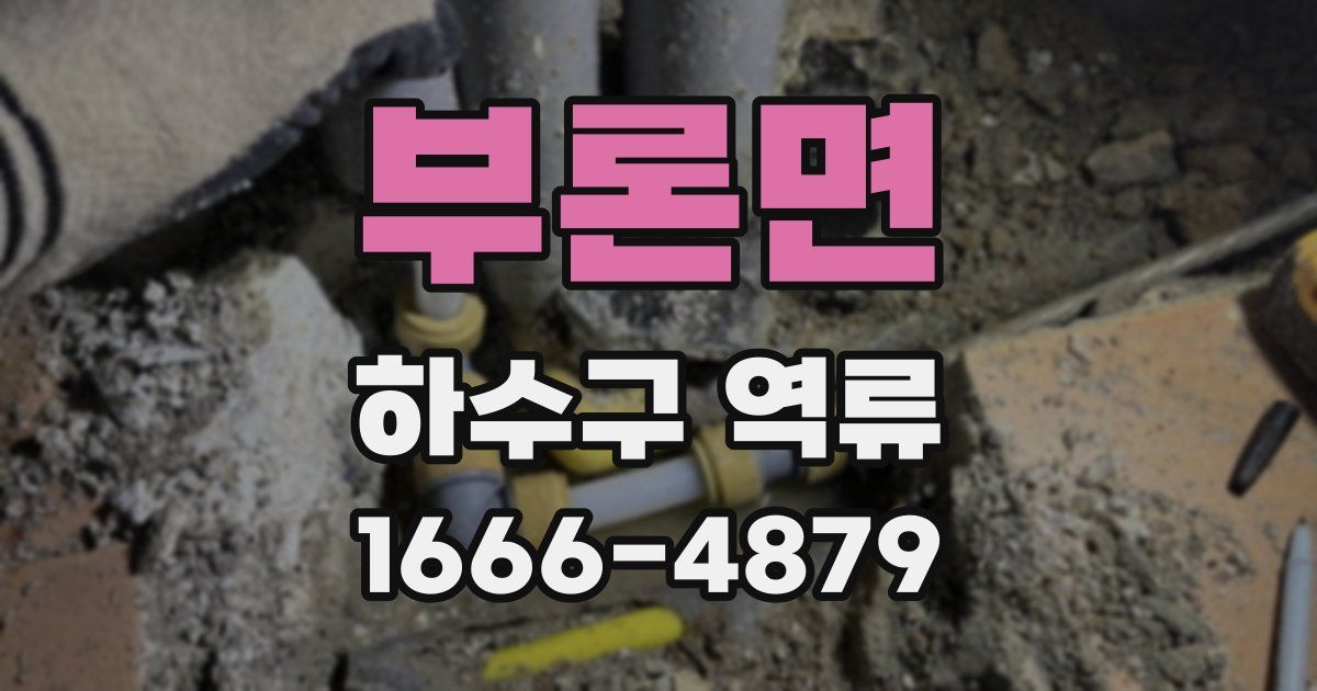 부론면 하수구 역류