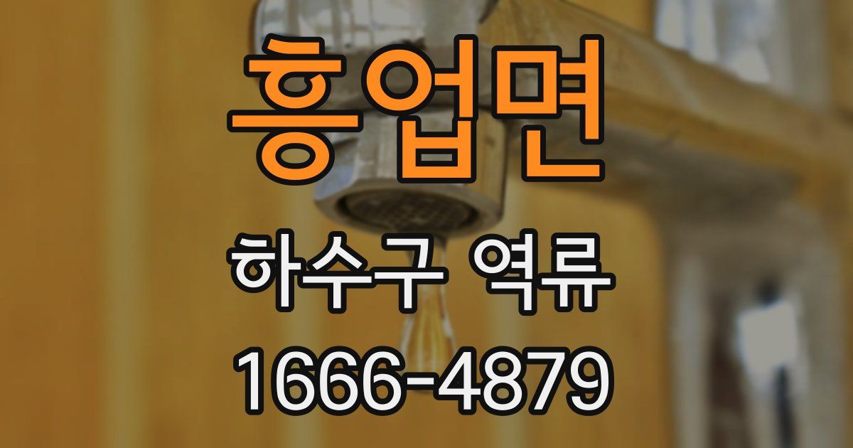 흥업면 하수구 역류