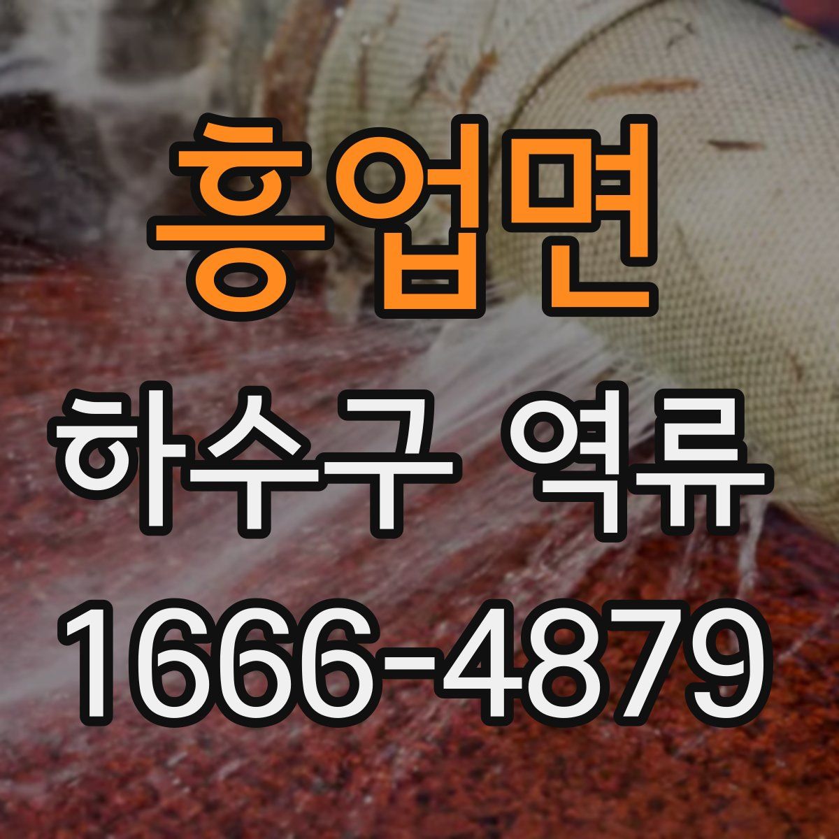 흥업면 하수구 역류