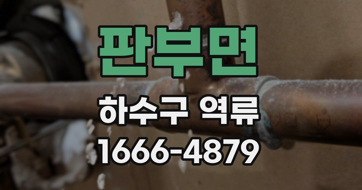 판부면 하수구 역류