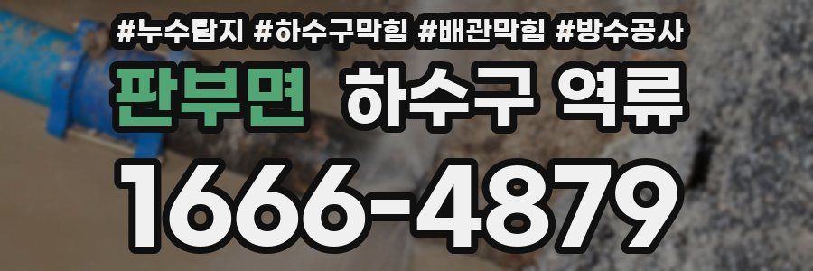 판부면 하수구 역류