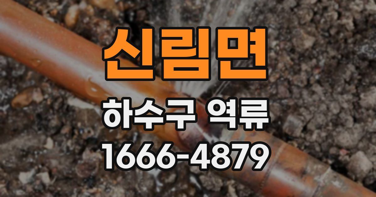신림면 하수구 역류