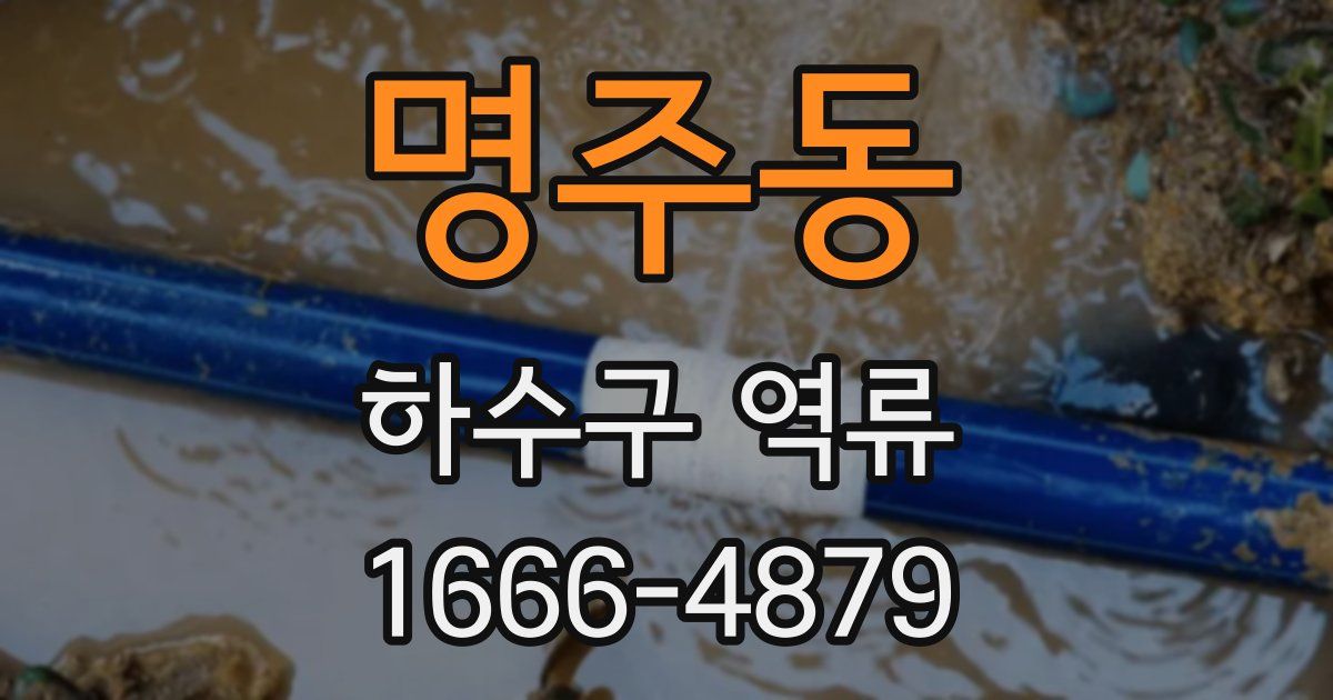 명주동 하수구 역류