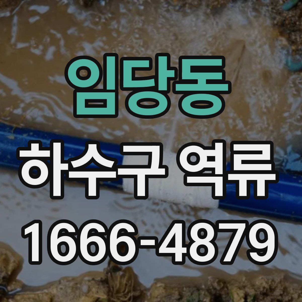 임당동 하수구 역류