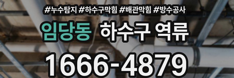 임당동 하수구 역류