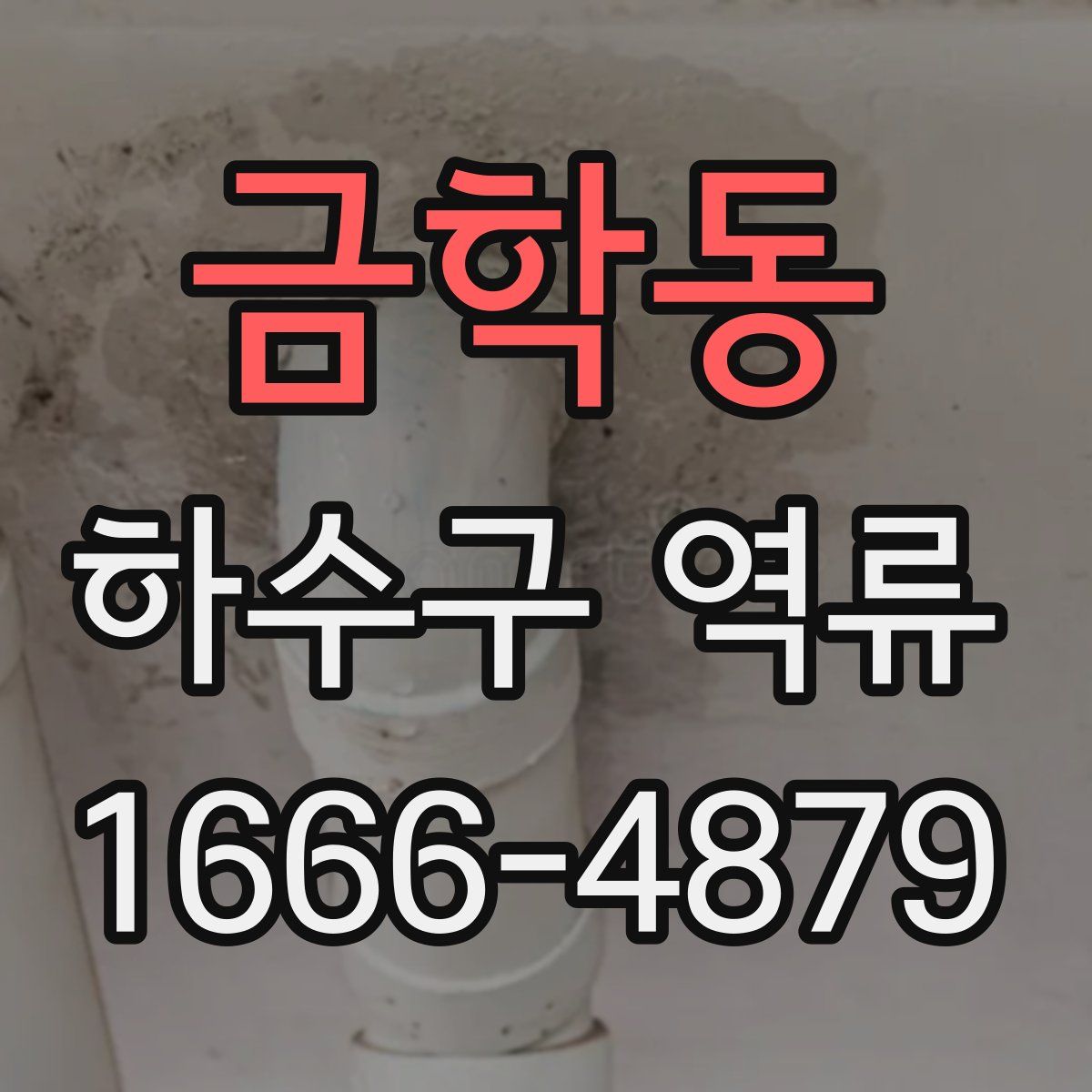 금학동 하수구 역류