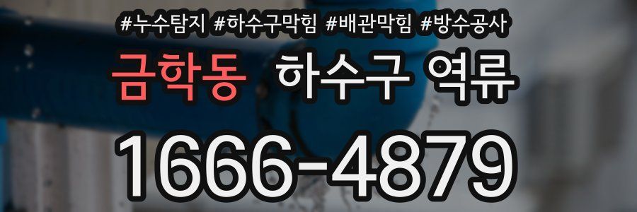 금학동 하수구 역류