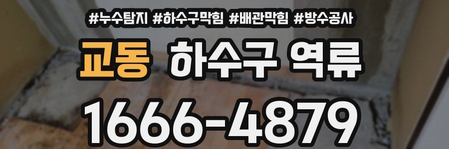 교동 하수구 역류