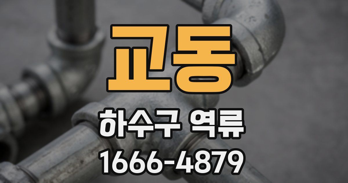 교동 하수구 역류